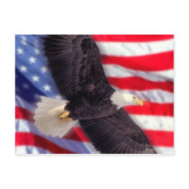 American Eagle with American Flag Postcard