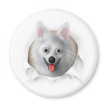 American Eskimo Busting Out magnets
