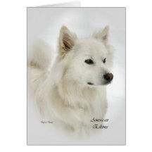 American Eskimo Dog Art Gifts Card