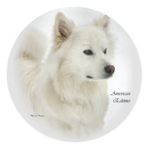 American Eskimo Dog Art Gifts Sticker