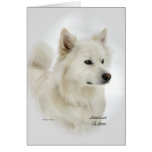 American Eskimo Dog Gifts Cards