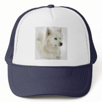 American Eskimo Dog Gifts