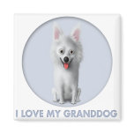 American Eskimo Granddog Fridge Magnet