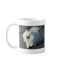 American Eskimo Mug