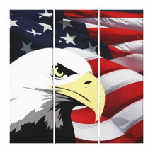 American Flag/Bald Eagle 3 Panel Canvas Print