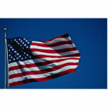American flag flying photo sculpture