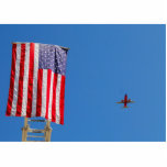 American Flag photo sculpture