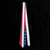 American Flag Tie ties