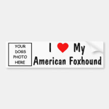 American Foxhound Bumper Sticker