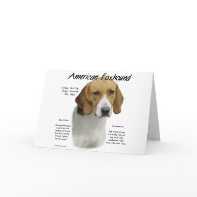 American Foxhound History Design by GreyWolfCreation