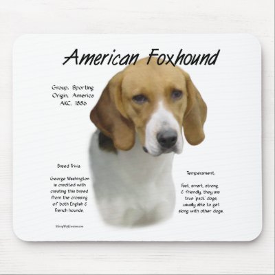 American Foxhound History Design by GreyWolfCreation