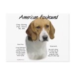 American Foxhound History Design postcards