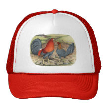 American Game Blue Reds Trucker Hats
