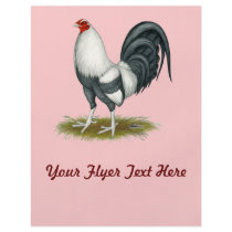 American Game Silver Blue Cock