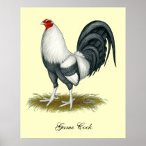 American Game Silver Blue Cock