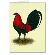 American Gamecock:  Brown Red