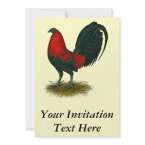American Gamecock:  Brown Red