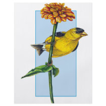 American Goldfinch and Zinnia flower Flyer Design