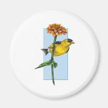 American Goldfinch and Zinnia flower Fridge Magnets