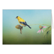American Goldfinch Notecards - Tim Larson