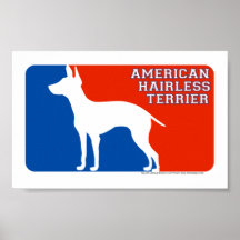 American Hairless Terrier Major Leage Dog Print