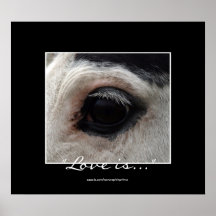 American Indian Painted Pony Horse Eye Photo Print