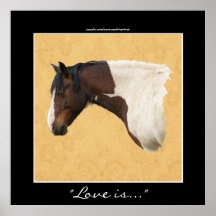 American Indian Painted Pony Horse-lover Print