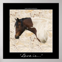 American Indian Painted Pony Horse-lover Print