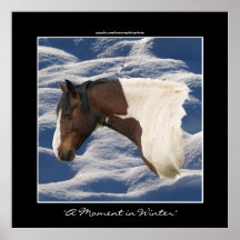 American Indian Painted Pony Horse-lover Print