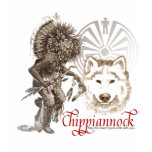 American Indian T-shirt May the great spirit