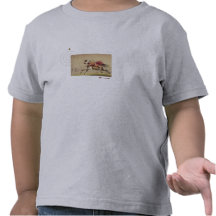 American Indian Tee