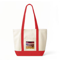 American Indians Bags