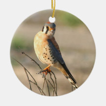 American Kestel Christmas Ornament