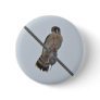 American Kestrel (Falco sparverius) Items Pin
