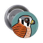 American Kestrel female Button