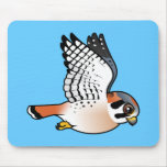 American Kestrel in flight Mousepads