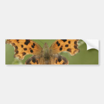 American Lady Butterfly Bumper Sticker
