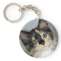 American Longhair Calico Shelter Kitten Keychain
