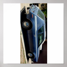 AMERICAN MOTORS GREMLIN PRINT