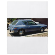 AMERICAN MOTORS JAVELIN AND GRAMLIN AND CACTI PERSONALIZED FLYER
