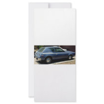 AMERICAN MOTORS JAVELIN AND GRAMLIN AND CACTI RACK CARD