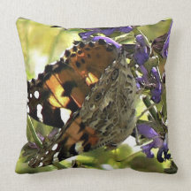 American Painted Lady Pillow