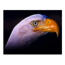American Patriotic Bald Eagle, National Symbol Postcards