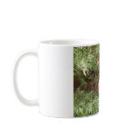 American Pit Bull Terrier- A Family Dog Coffee Mugs