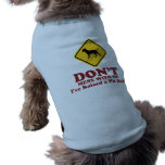 American Pit Bull Terrier pet clothing