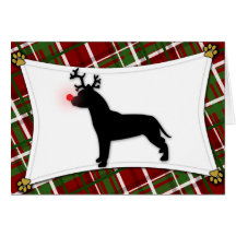 American Pit Bull Terrier Reindeer Christmas Card