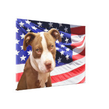 American Pitbull puppy canvas print