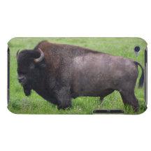 American Plains Buffalo Bison iPod Touch Case