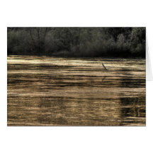 American River Card