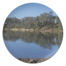 American River Shore Plate